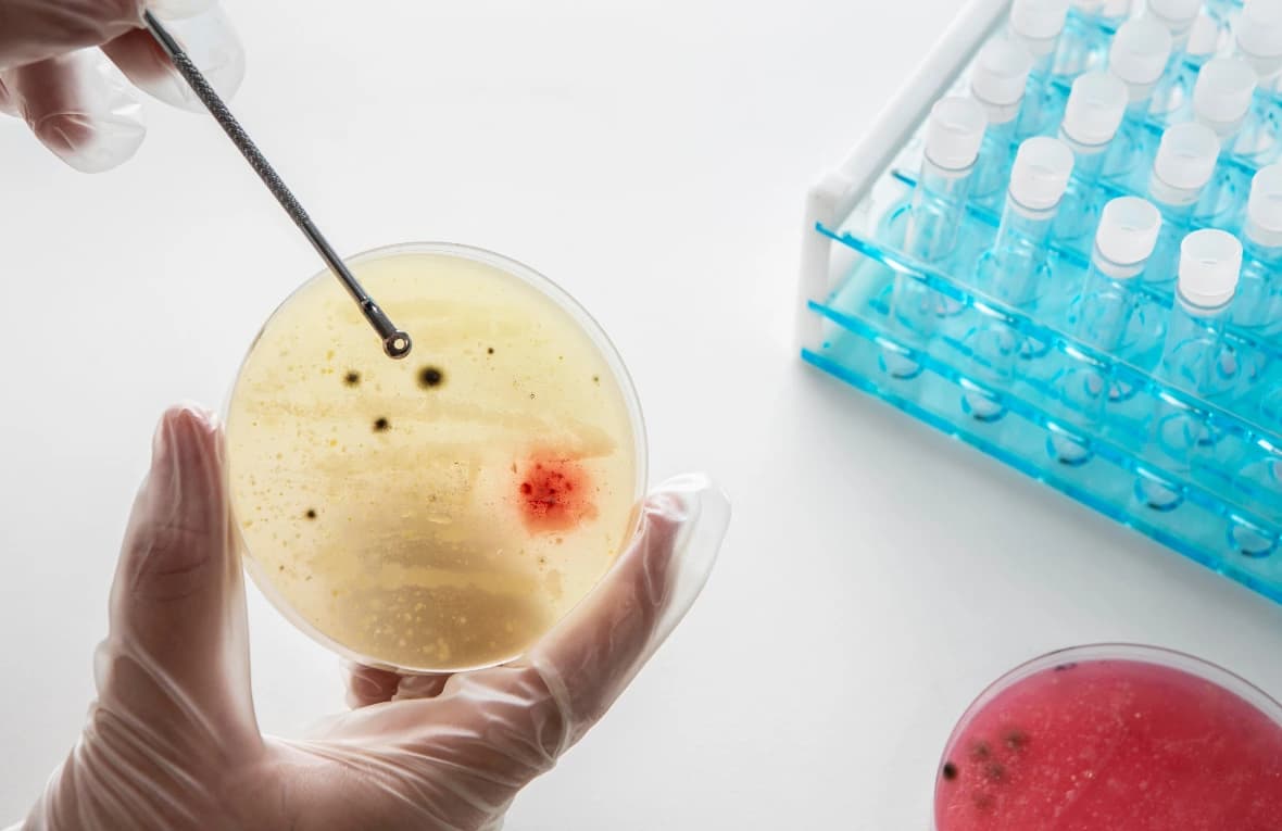 Embryologist handling a culture dish in the laboratory