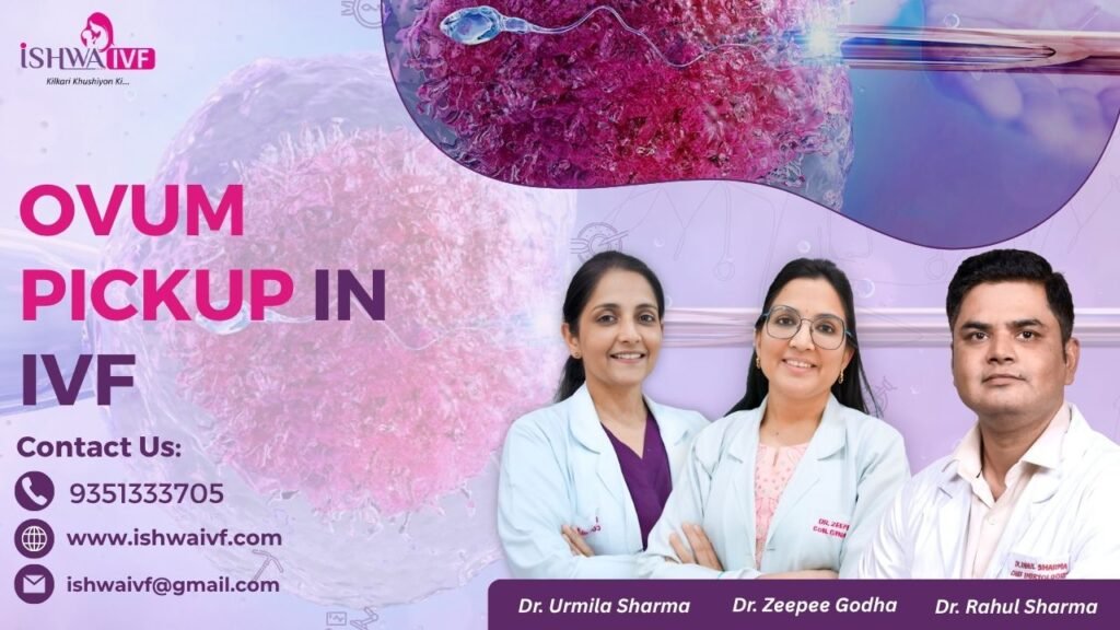 Ovum Pickup in IVF