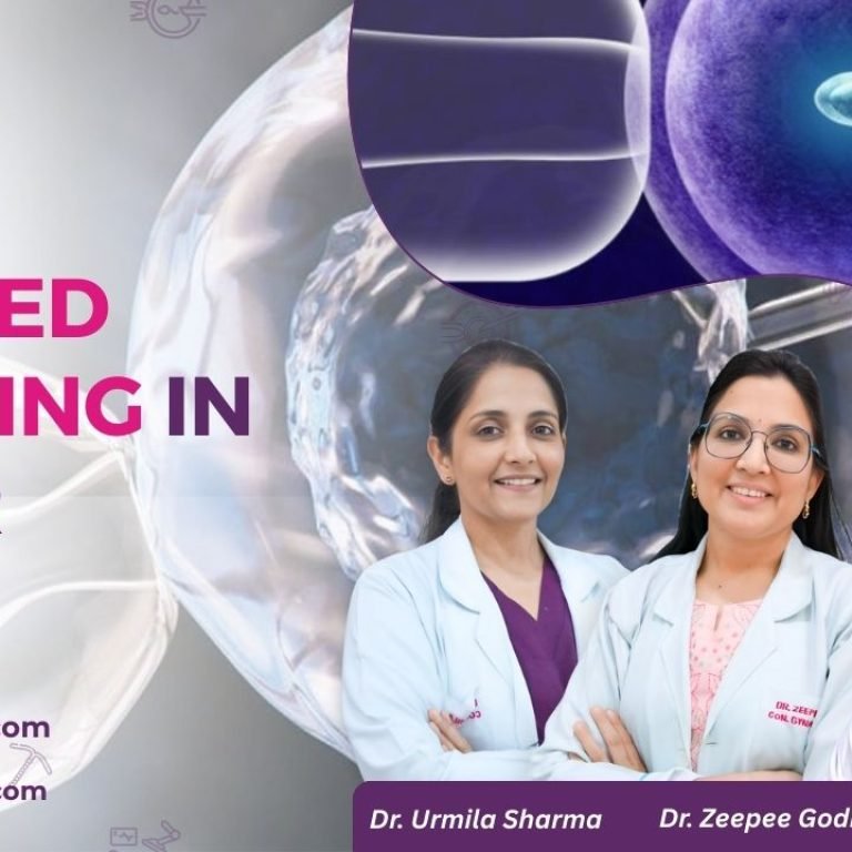 Laser Assisted Hatching in Jaipur